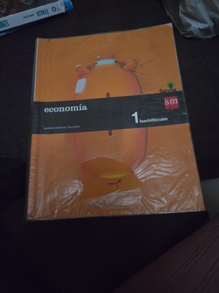 Economía. 1 Bachillerato. Savia (Spanish Edition)