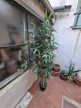 Planta artificial bambú