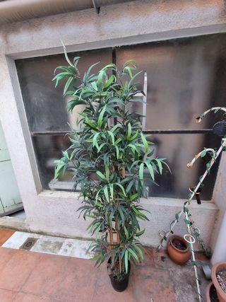 Planta artificial bambú