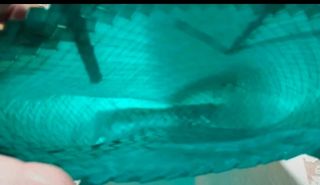 Borsa teal multiuso
