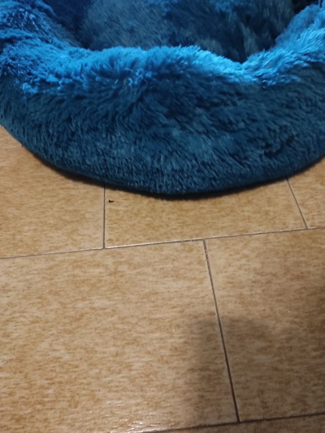 Cuccia morbida pet 80cm blu