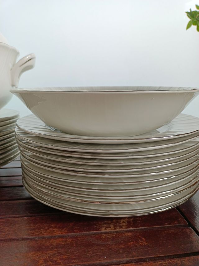 ✨Vajilla Pontesa completa porcelana