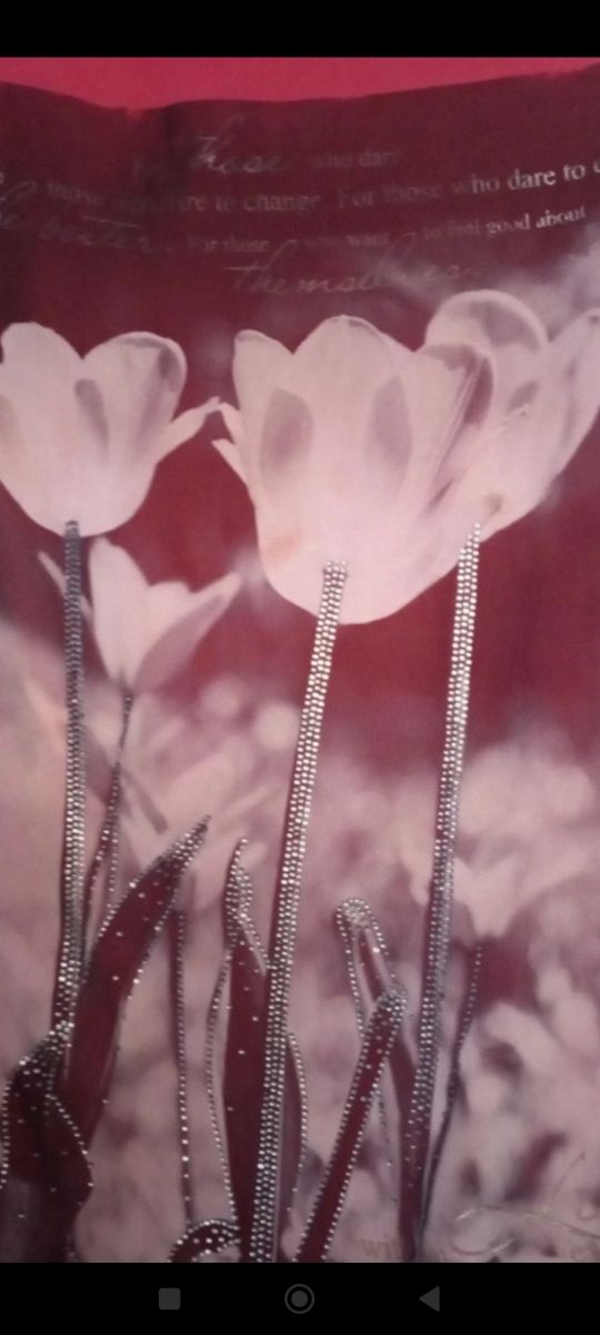 Camiseta roja salsa brillos