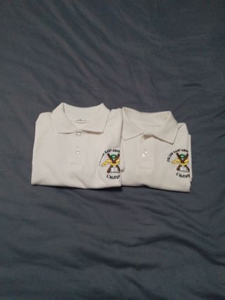 Lote 10 euros Polo Colegio Sant Andreu - Talla 10,
