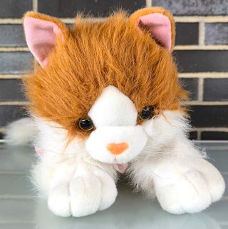 Peluche Belitos Husky o Gato adorable