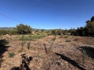 Terreno en venta en Ulldecona