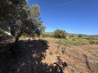 Terreno en venta en Ulldecona
