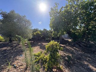 Terreno en venta en Ulldecona