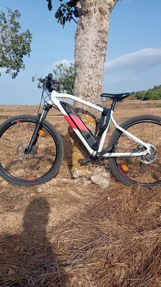 Bicicleta eléctrica montaña