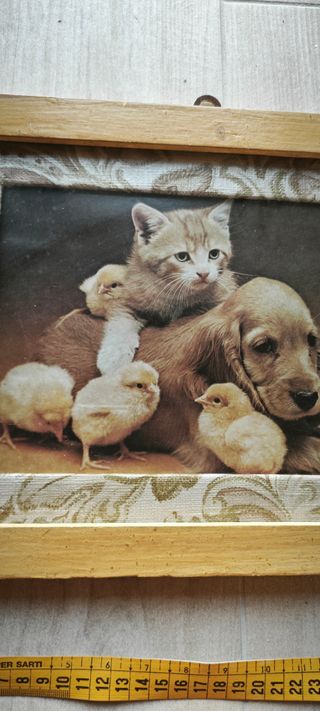 Quadro Gatto, Cane & Pulcini
