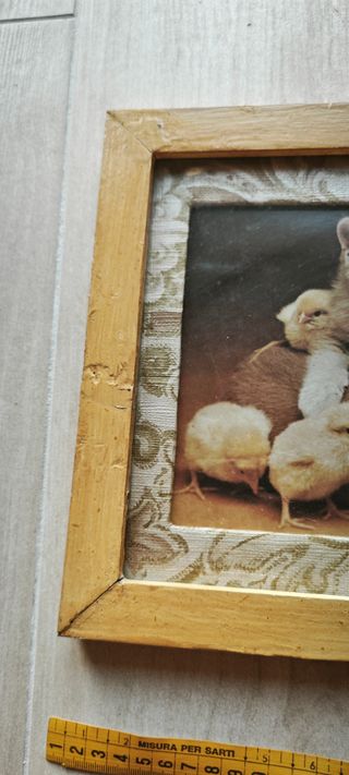 Quadro Gatto, Cane & Pulcini
