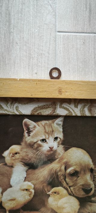 Quadro Gatto, Cane & Pulcini