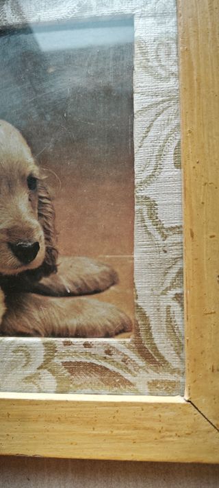 Quadro Gatto, Cane & Pulcini