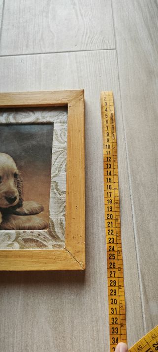 Quadro Gatto, Cane & Pulcini