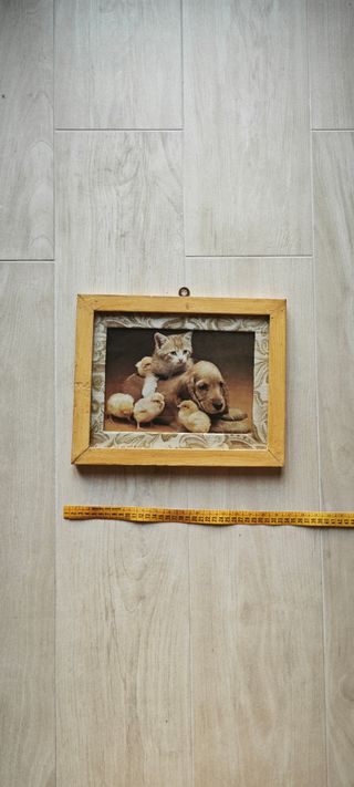 Quadro Gatto, Cane & Pulcini