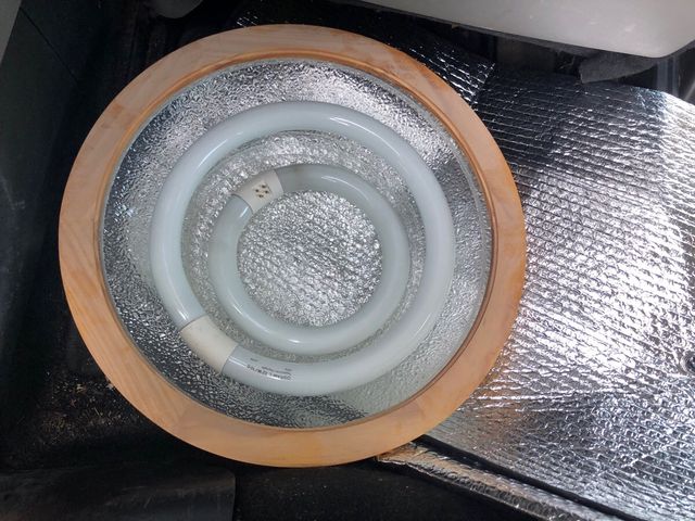 Plafón luz madera blanco