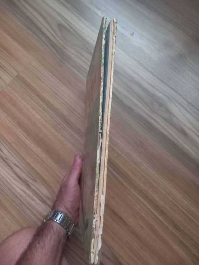 La oreja rota