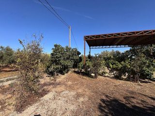 Terreno en venta en Ulldecona