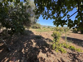 Terreno en venta en Ulldecona