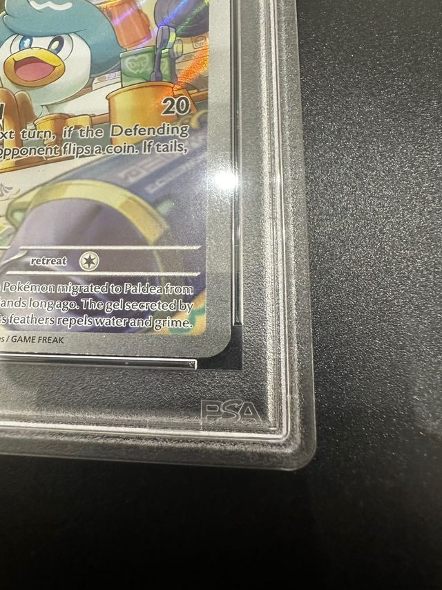 Carta Pokemon Quaxly PSA 8 - Illustrazione rara