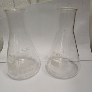 2 Matraces Erlenmeyer Pyrex 250ml