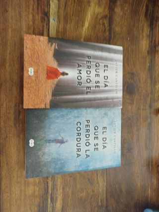 El día que se perdió el amor / la locura