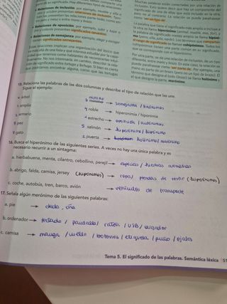 Lengua Castellana Y Literatura