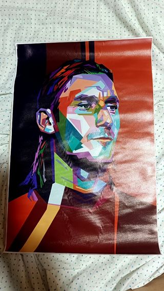 Stampa Totti - Tela Multicolore