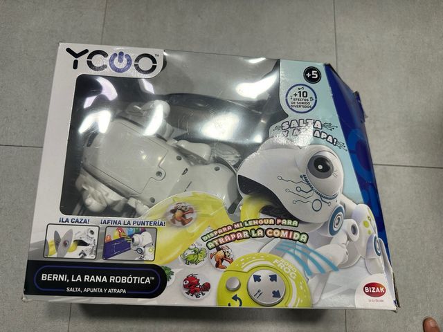 Berni, Rana Robótica Bizak