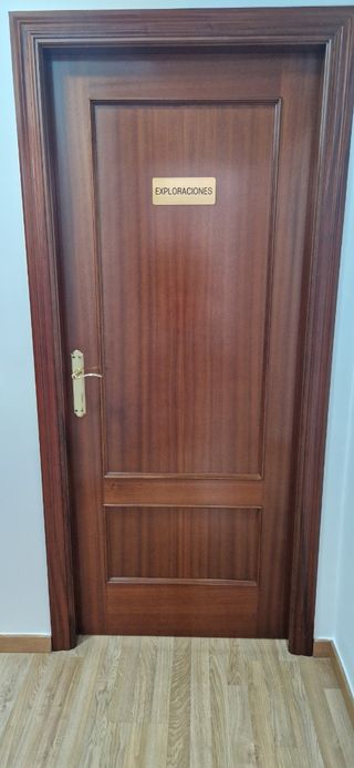 Puerta interior madera