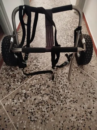 Kayak individual rígido. (Se escuchan ofertas)