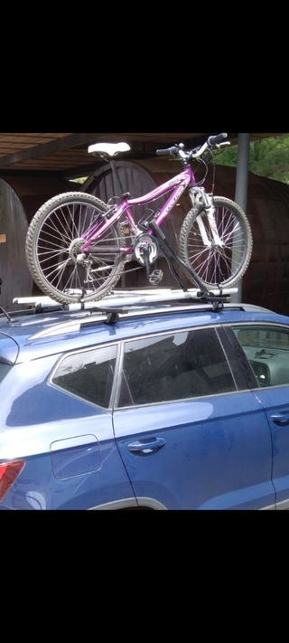 Bicicleta Coluer Lucy niña 24"
