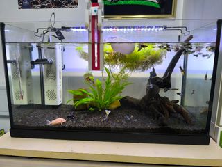 Acuario completo principiante
