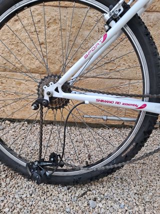 Bicicleta Indur montaña