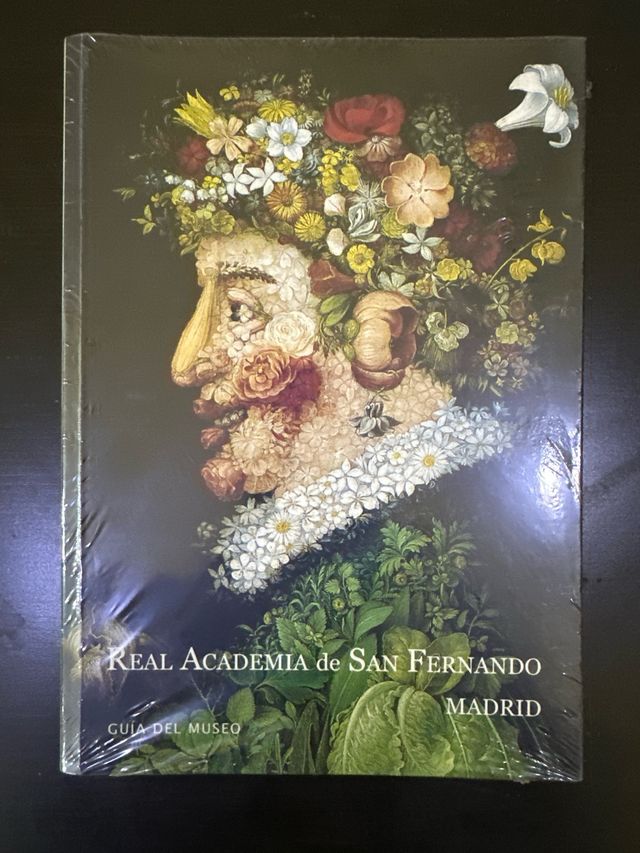 Real Academia De San Fernando. Guia Del Museo