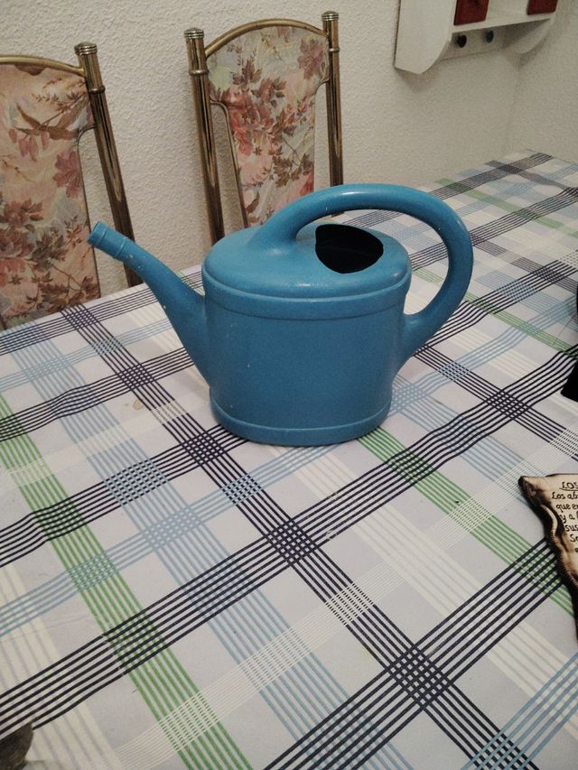 Regadera azul - Jardín