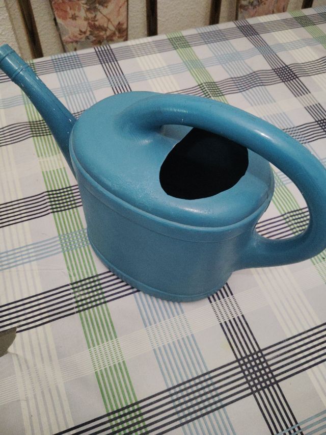 Regadera azul - Jardín