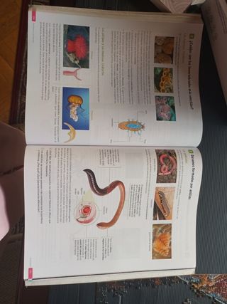 Biología y Geología. 1 Secundaria. Revuela