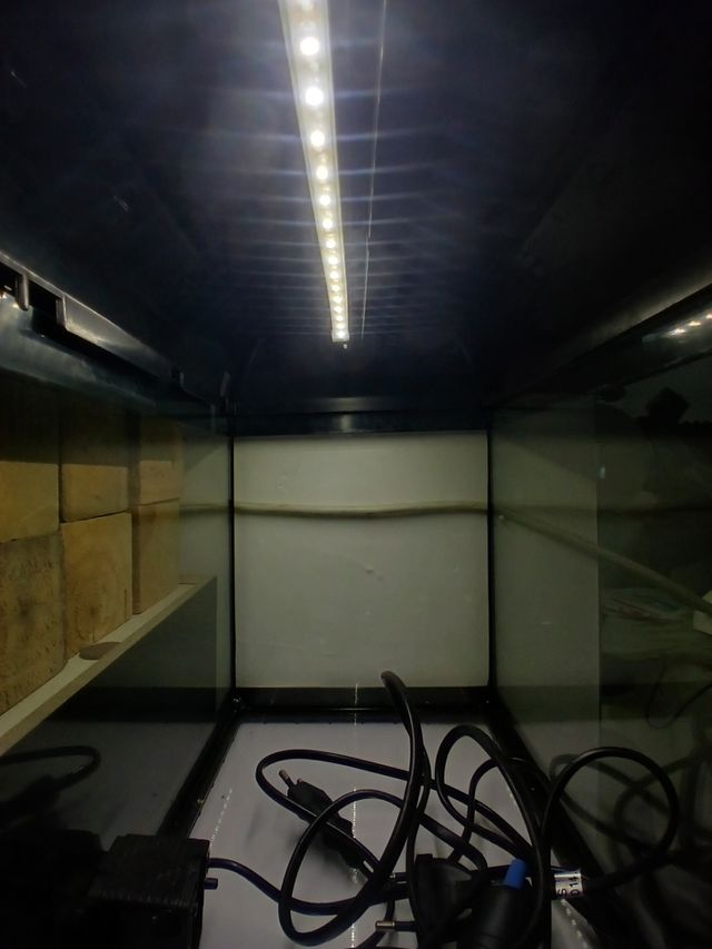 Acuario pequeño - pecera