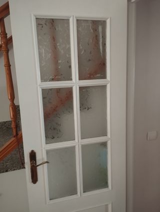 Puerta interior cristal 6 paneles