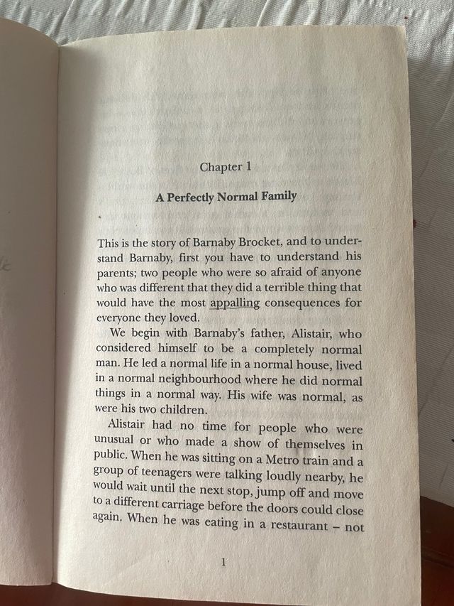 Terrible Thing That Happened To Barnaby Brocket...