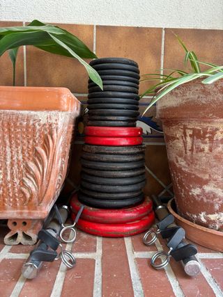 Mancuernas decathlon, pesas, discos. 42kg