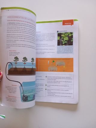 Bach 1 - Biologia Y Geologia - Practica - #somo...