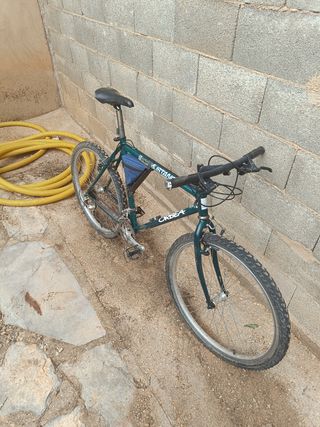 Bicicleta Orbea Mustang MTB