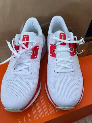 Zapatillas Nike Quest 6 - 42