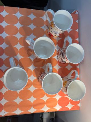 6 Tazas Porcelana Flores