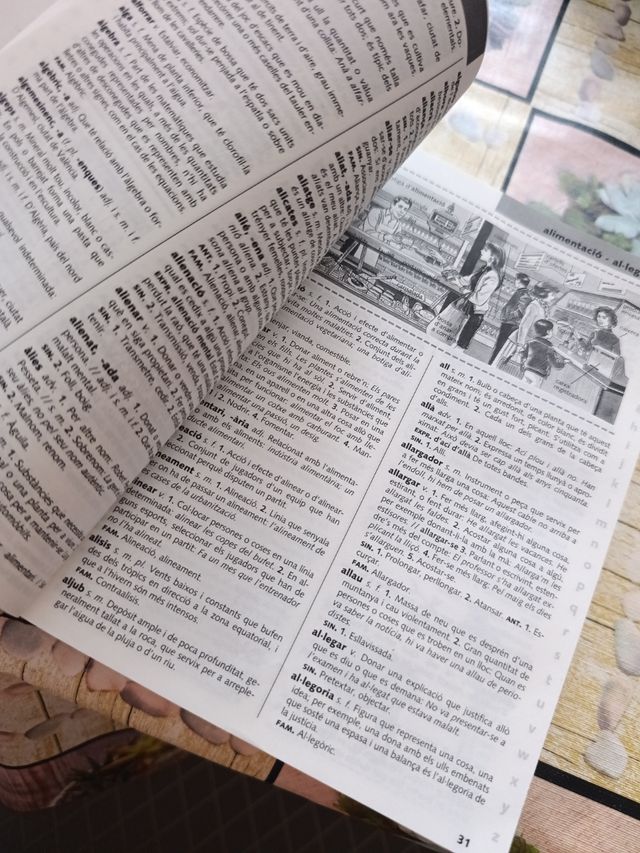 Diccionari d'ús del valencià (Catalan Edition)