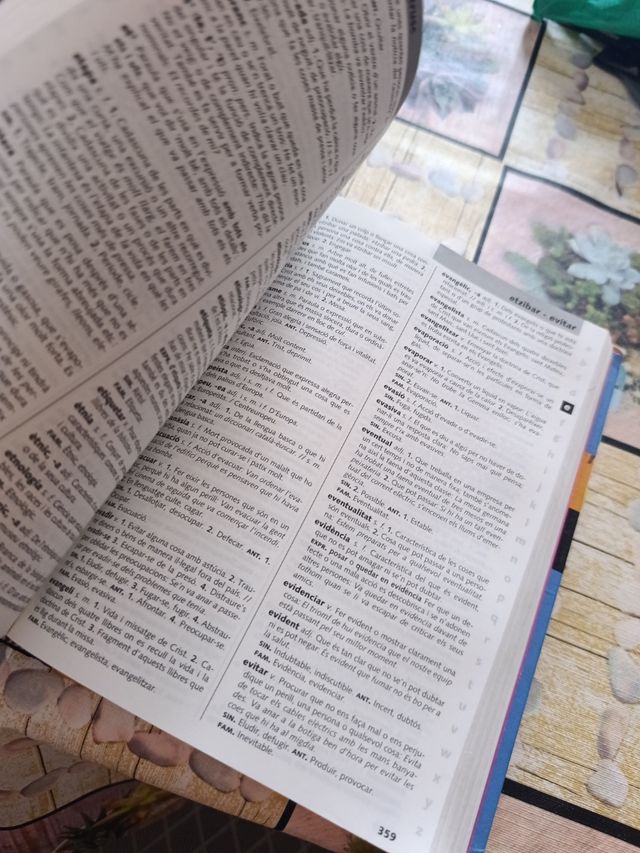 Diccionari d'ús del valencià (Catalan Edition)