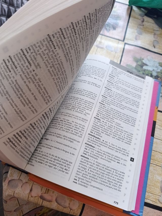 Diccionari d'ús del valencià (Catalan Edition)