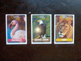 Cromos y tazos